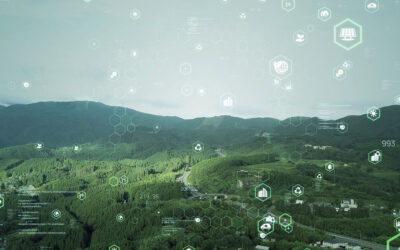 Q3 2025 | Market Updates