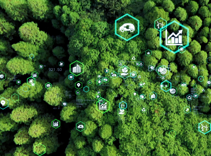 DECENT WORK AND ECONOMIC GROWTH